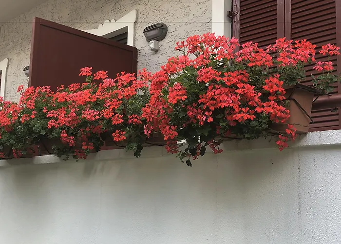 Garni Villa Betty Merano